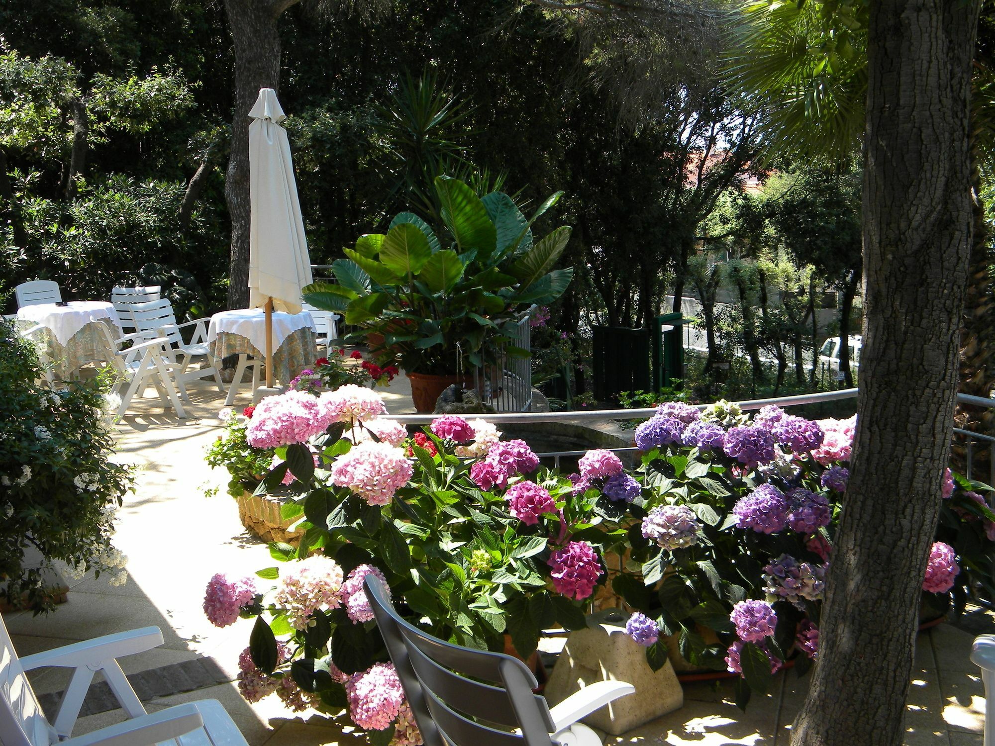 Hotel La Rosa Del Tirreno Ліворно Екстер'єр фото